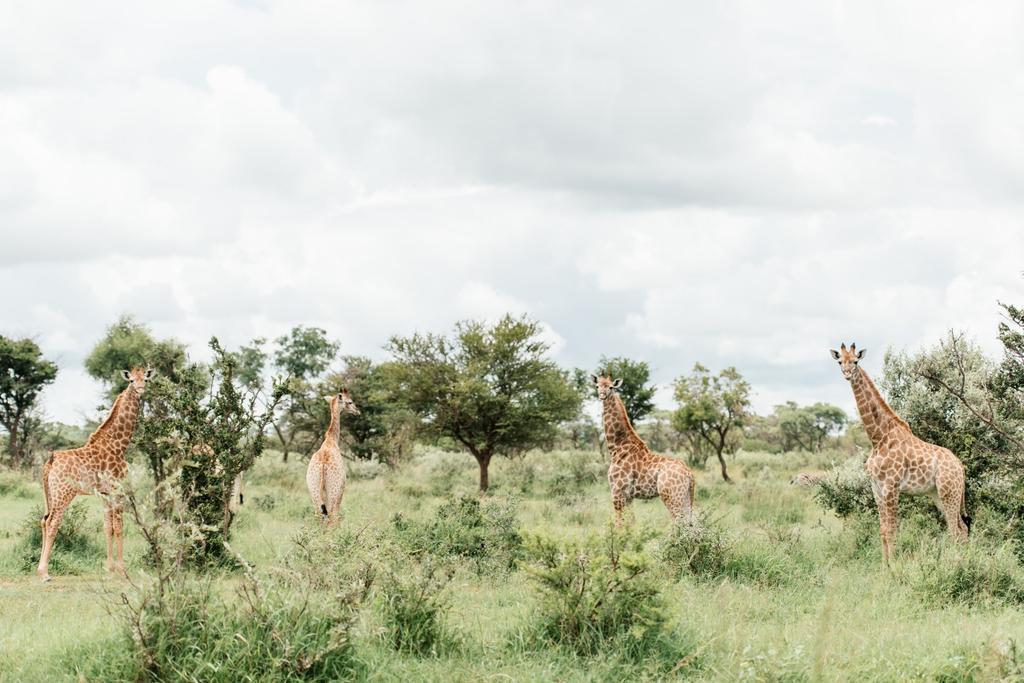 Monate Game Lodge Modimolle Exterior foto
